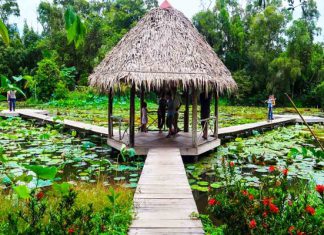 Kinh nghiệm khám phá khu sinh thái Xẻo Quýt – Đồng Tháp nổi tiếng
