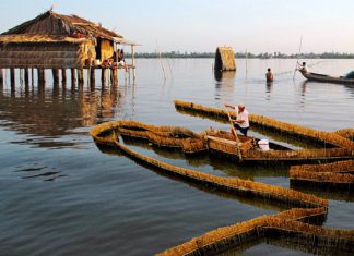 Khám phá biển hồ giữa chốn đồng bằng tại Đầm Thị Tường Cà Mau