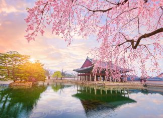 Khám phá Xứ sở kim chi – Du hành đến vùng đất lãng mạn