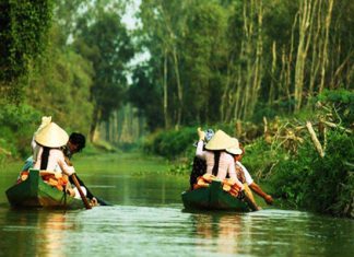 Khám phá khu du lịch Gáo Giồng Đồng Tháp – xứ sở của những loài chim quý