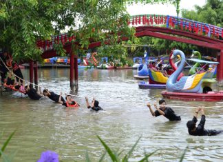 Khám phá hoạt động thú vị tại khu du lịch Vinh Sang Thúy Liễu – Vĩnh Long