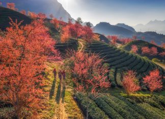 Cẩm nang du lịch Sapa không thể bỏ lỡ