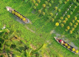 Review kinh nghiệm đi tour du lịch Đồng Tháp 1 ngày từ A – Z