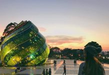 Du Lịch Đà Lạt Hè 2026 – Trốn Nắng Thành Phố, Tận Hưởng Không Khí Mát Lạnh Cao Nguyên